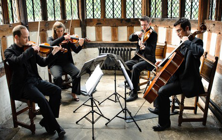 Hire Strelitzia String Quartet