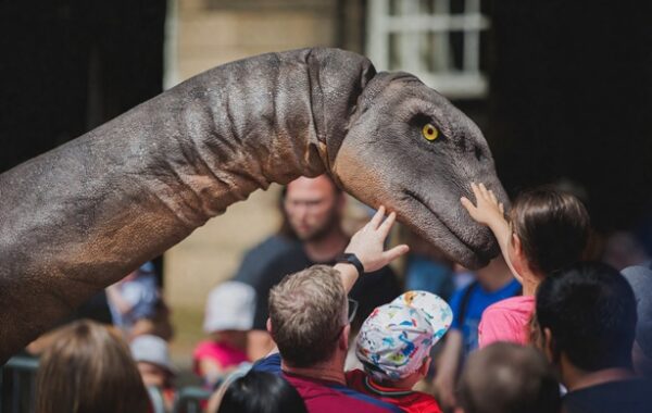 Brontosaurus