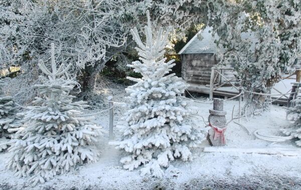 Snow & Winter Effects Image