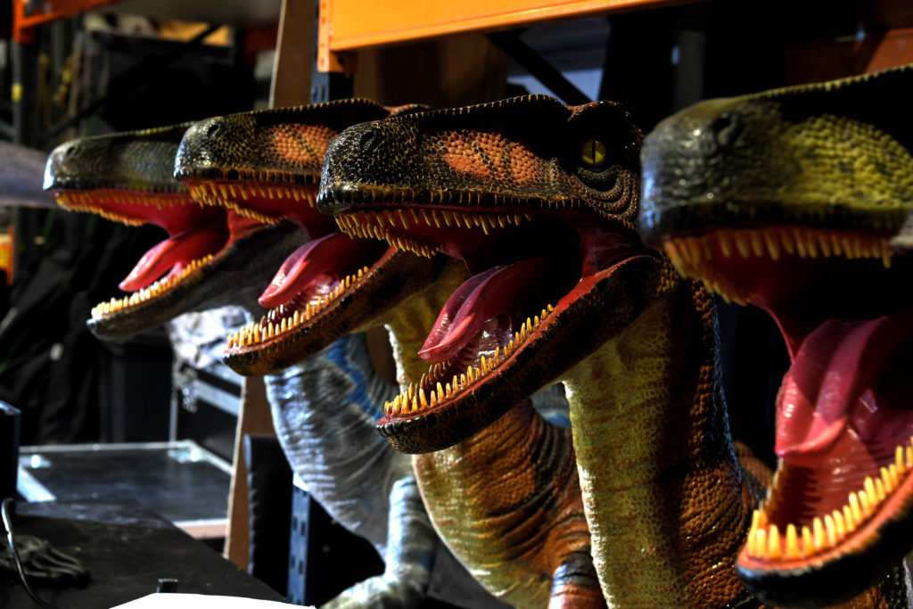 Raptors at the warehouse