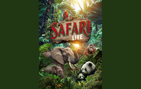 Safari Live Image