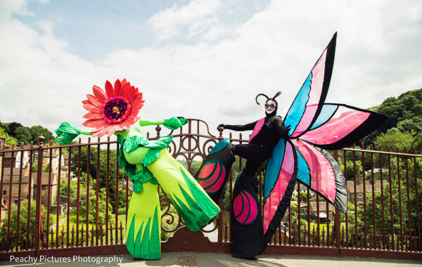Bob the Butterfly and Gerry the Gerbera Image
