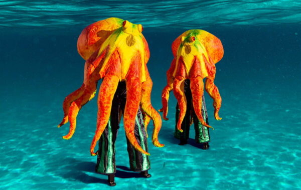 Cali and Mari the Octopi Image