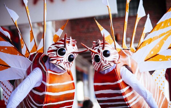 Lionel and Leona the Lion Fish Image
