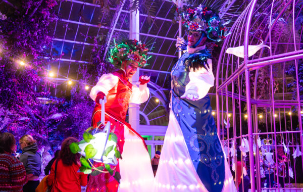 Spirit of Winter Image