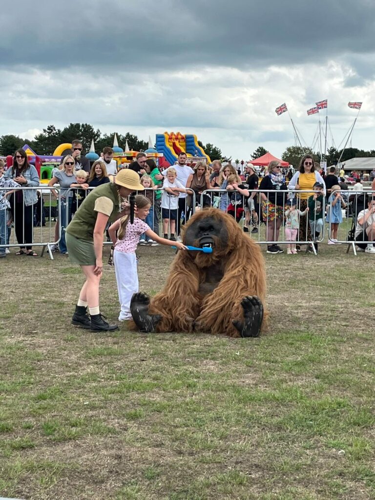 Clean Orangatang teeth Great Yarmouth Racecourse 30 Aug 2026