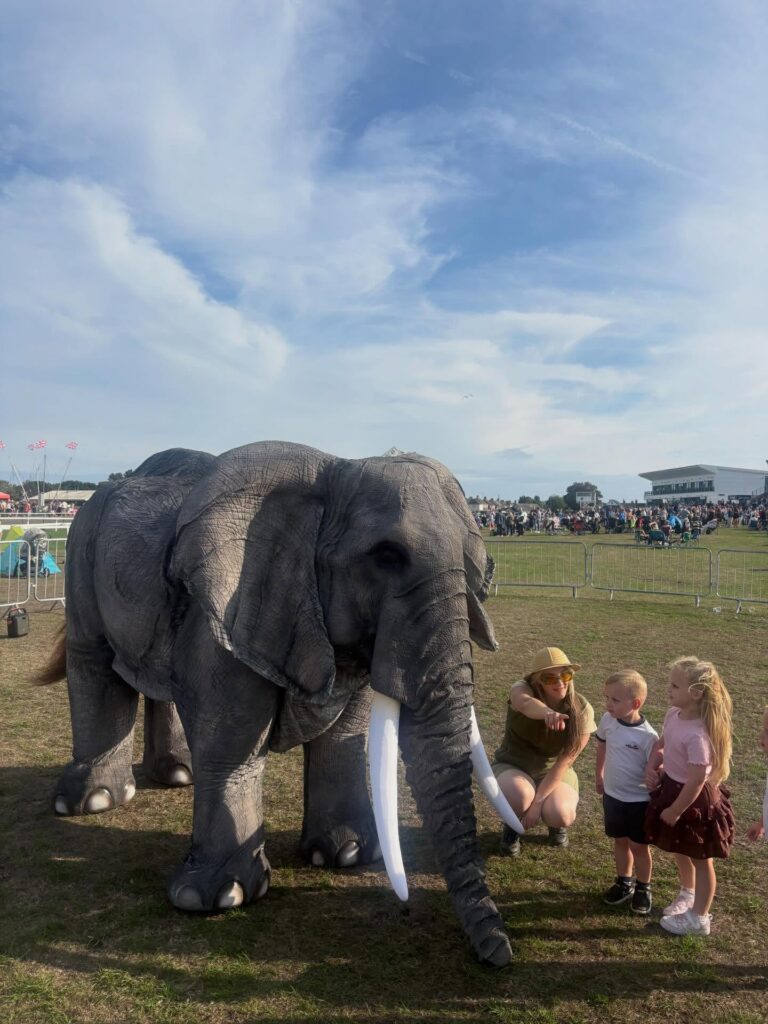 Elephant close up at Great Yarmouth Racecourse August Bank Holiday 2026