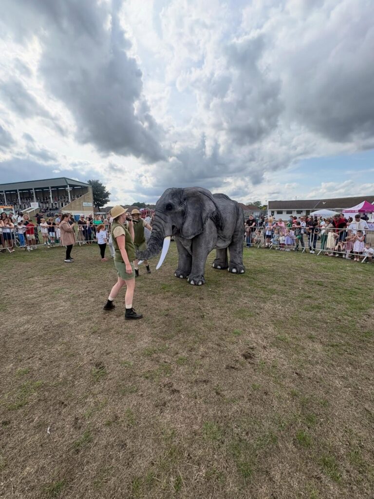 Elephant walkabout at Great Yarmouth Racecourse August Bank Holiday 2026